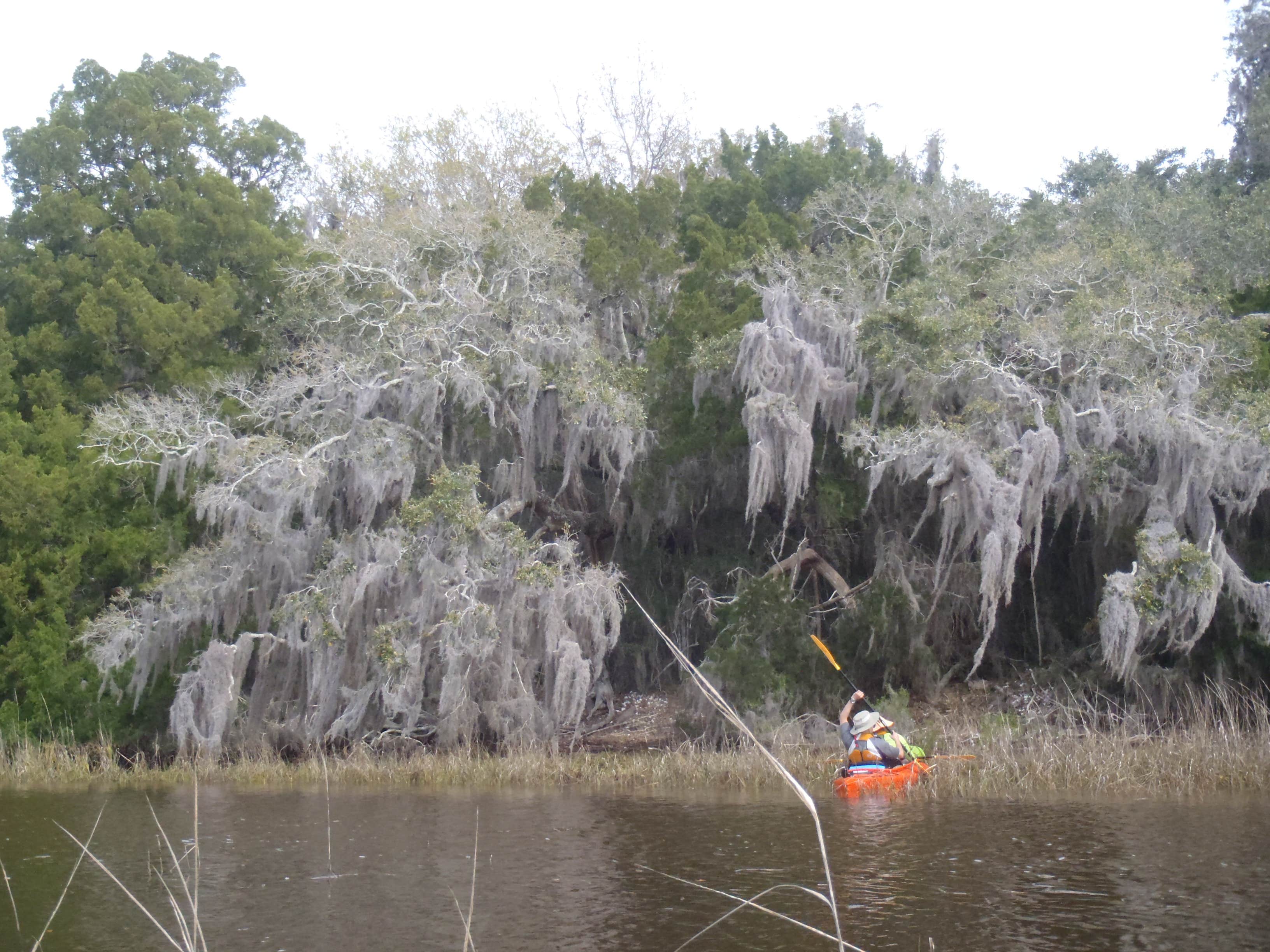 Camper submitted image from Brickhill Bluff Wilderness Campsite — Cumberland Island National Seashore - 3
