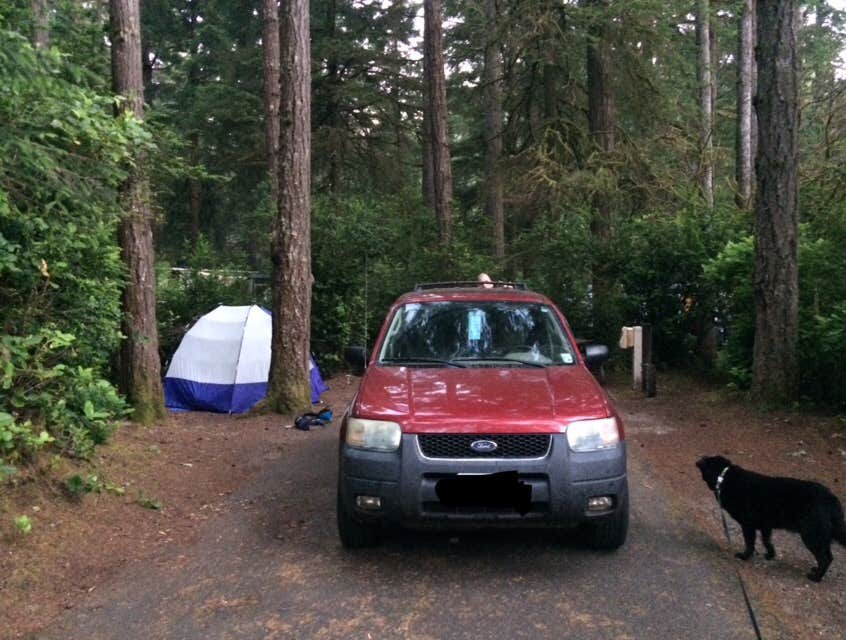 Camper submitted image from Jessie M. Honeyman Memorial State Park Campground - 4
