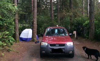 Emma L.'s photo at Jessie M. Honeyman Memorial State Park Campground near Mapleton, OR