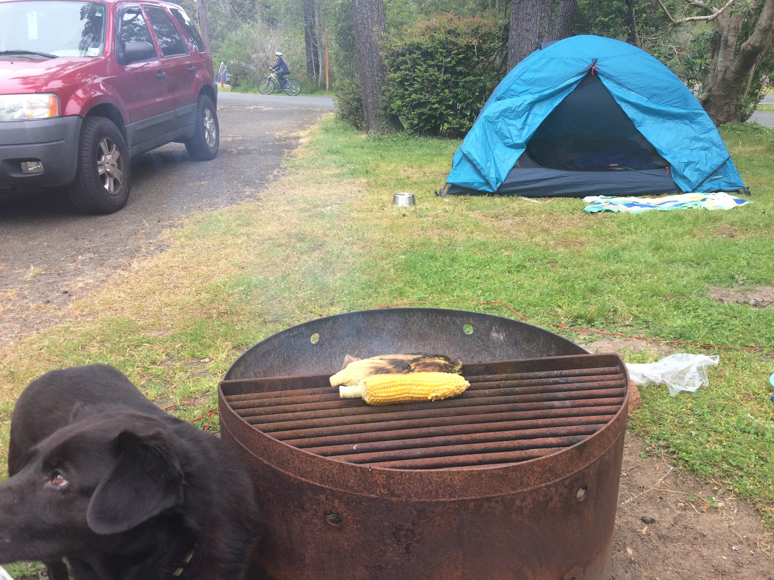 Emma L.'s photo of camping with pets at Bullards Beach State Park Campground near Coos Bay, OR