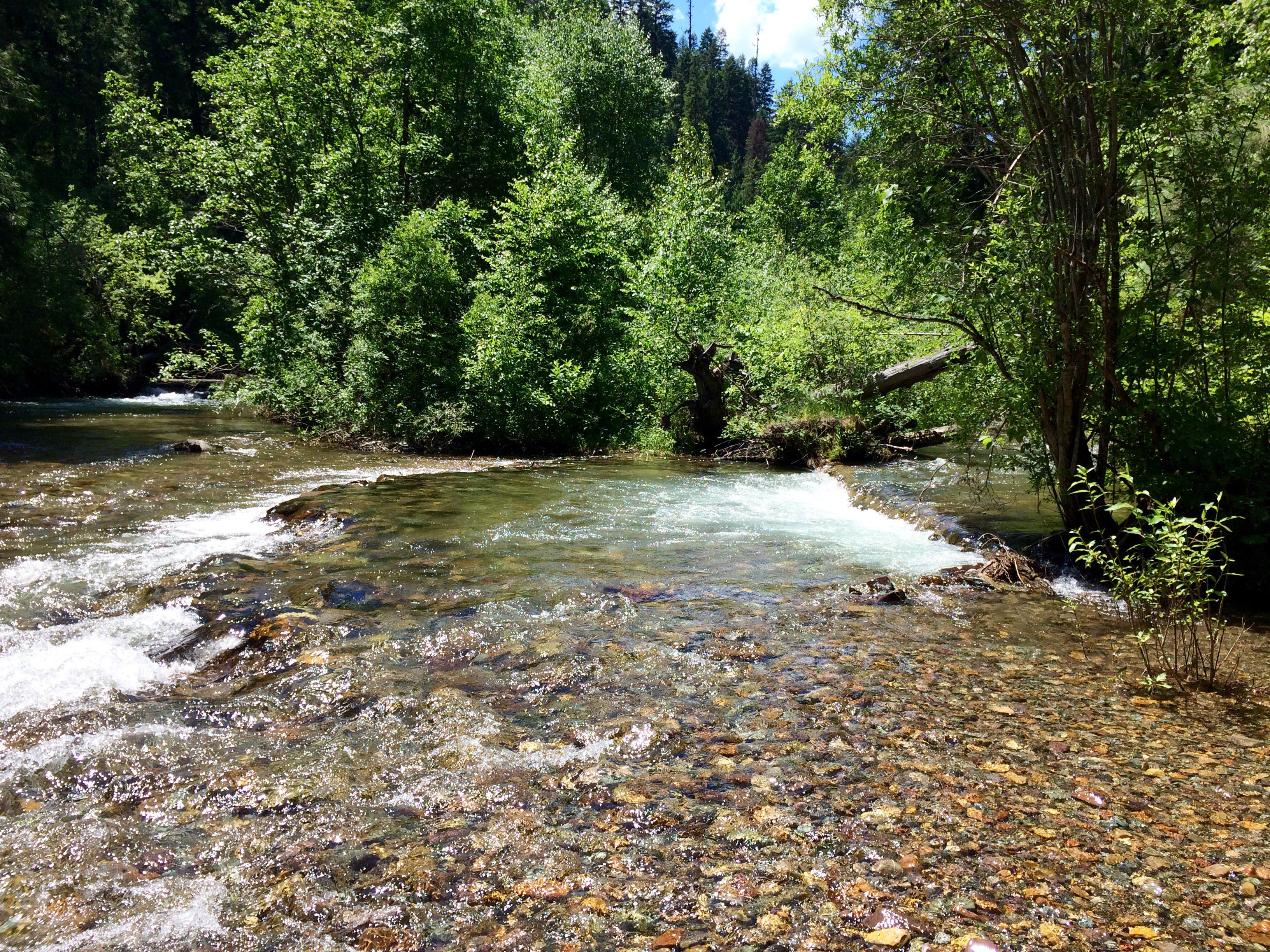 Camper submitted image from Lolo Creek Campground - 3