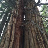 Review photo of Emerald Bay State Park Boat-In Camp Area by Angel K., June 24, 2016