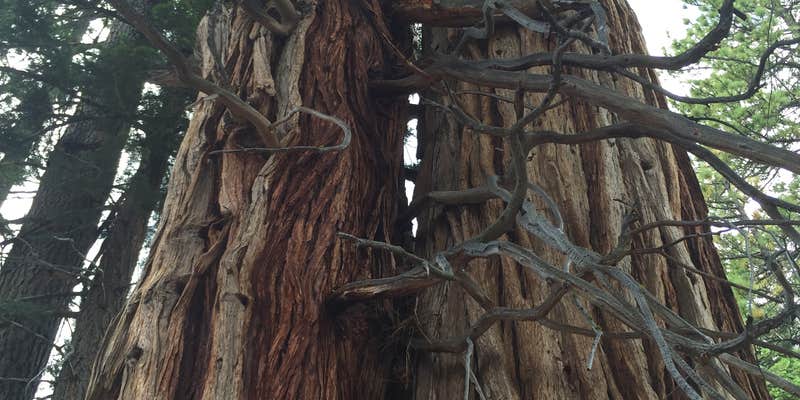 Camper submitted image from Emerald Bay State Park Boat-In Camp Area