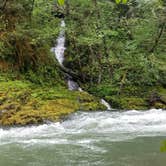 Review photo of Scaredman Recreation Site — North Umpqua Wild And Scenic River by Brant T., July 4, 2017