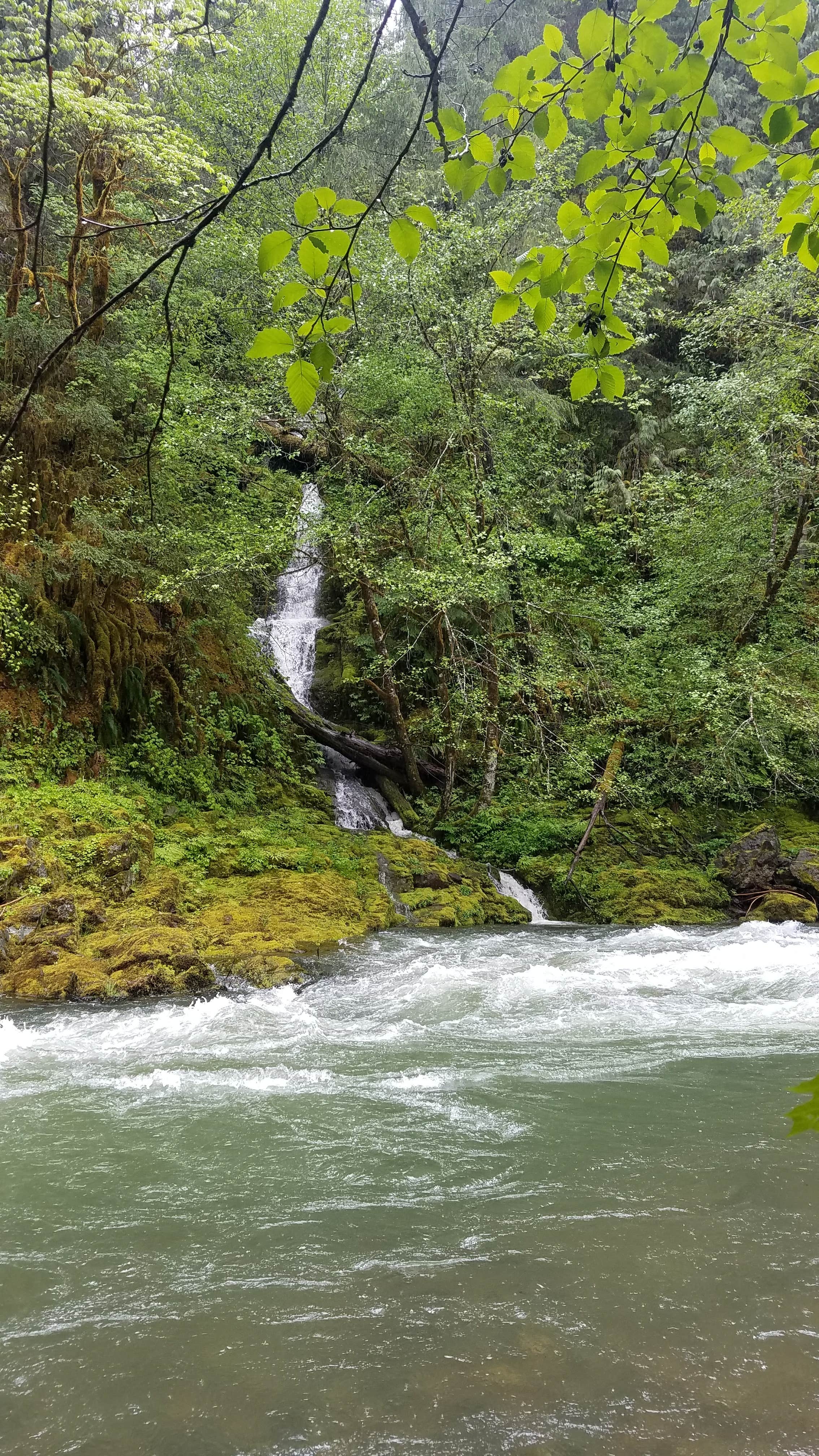View All