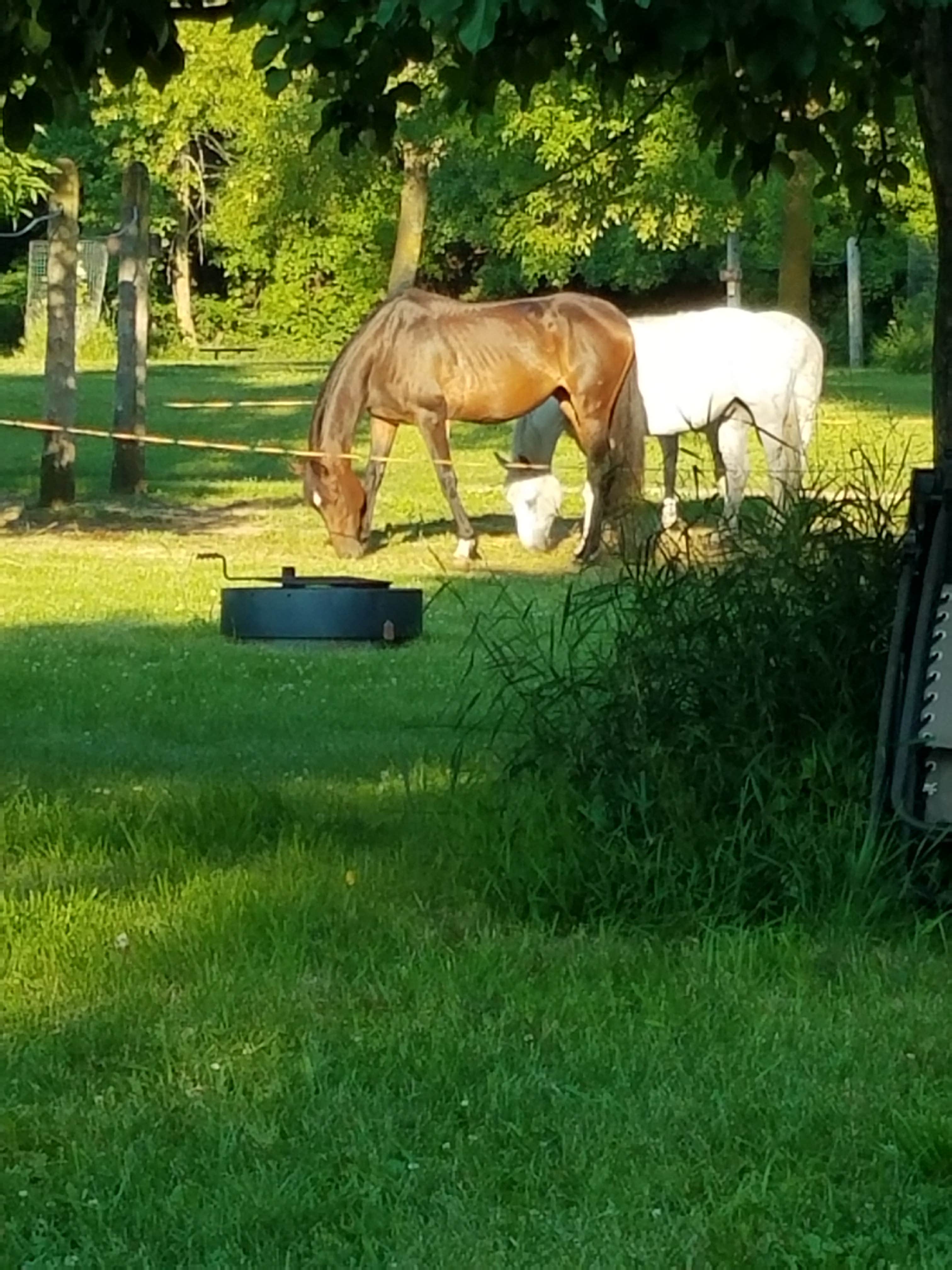 Camper-submitted photo at Equestrian Campground — Sibley State Park near New London, MN