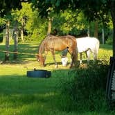 Review photo of Equestrian Campground — Sibley State Park by Cody T., July 4, 2017