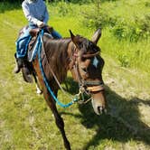 Review photo of Equestrian Campground — Sibley State Park by Cody T., July 4, 2017