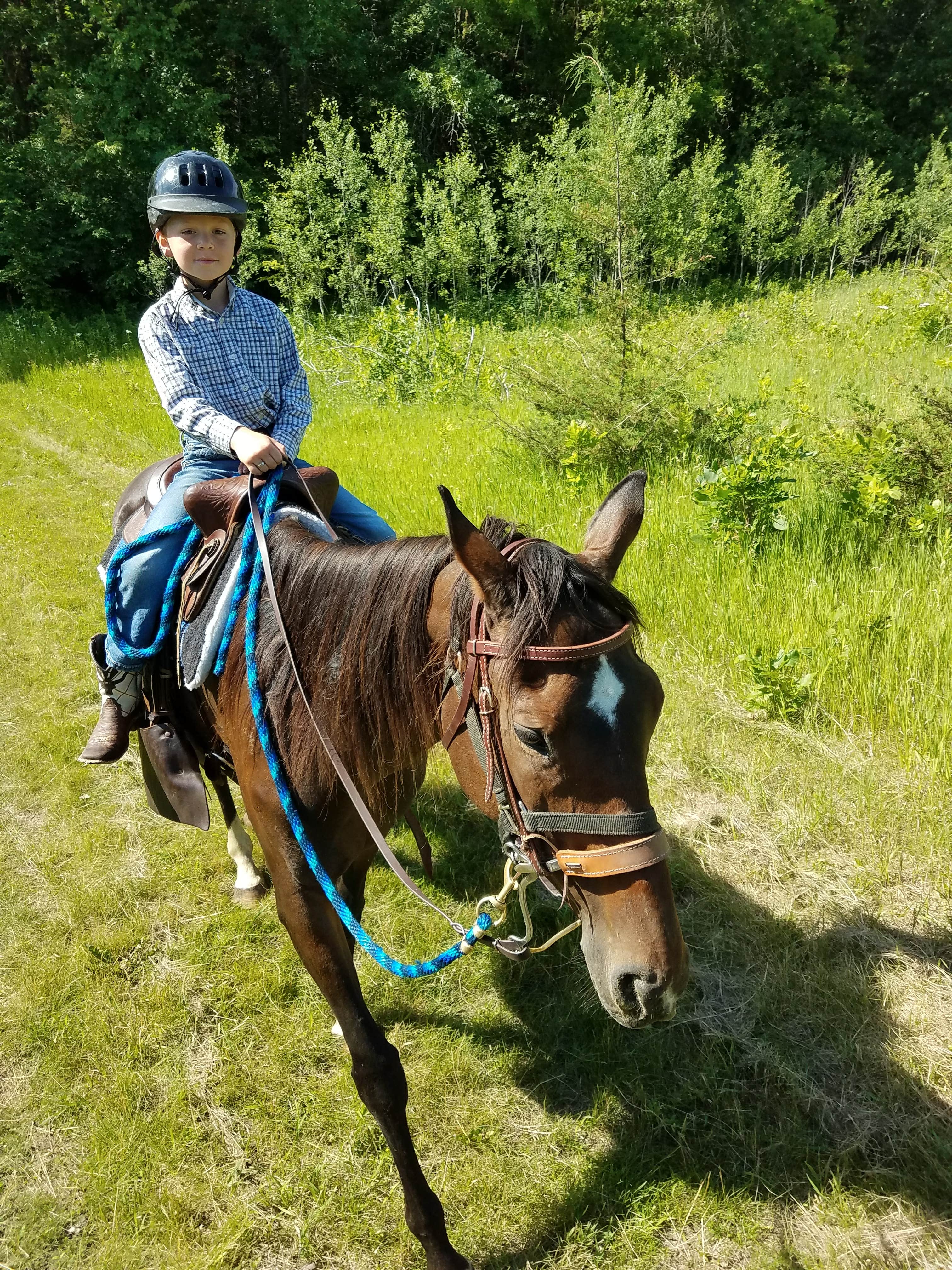 Camper submitted image from Equestrian Campground — Sibley State Park - 1