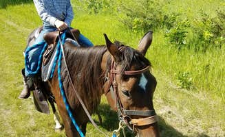 Cody T.'s photo of camping with a horse at Equestrian Campground — Sibley State Park near Montevideo, MN