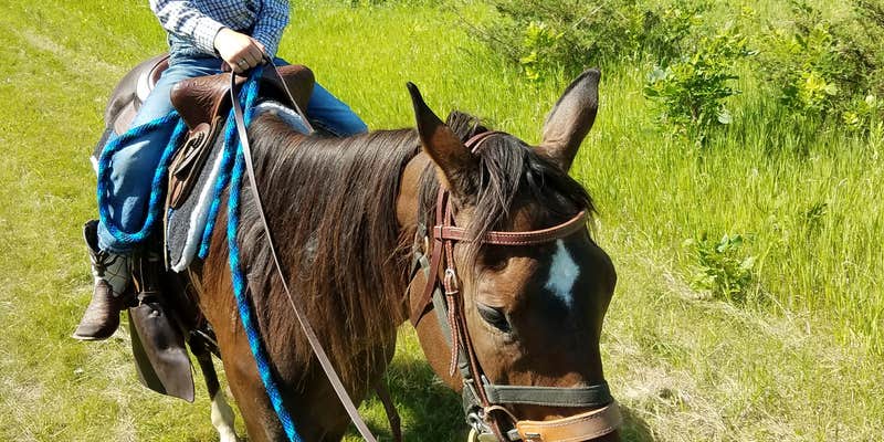 Camper submitted image from Equestrian Campground — Sibley State Park