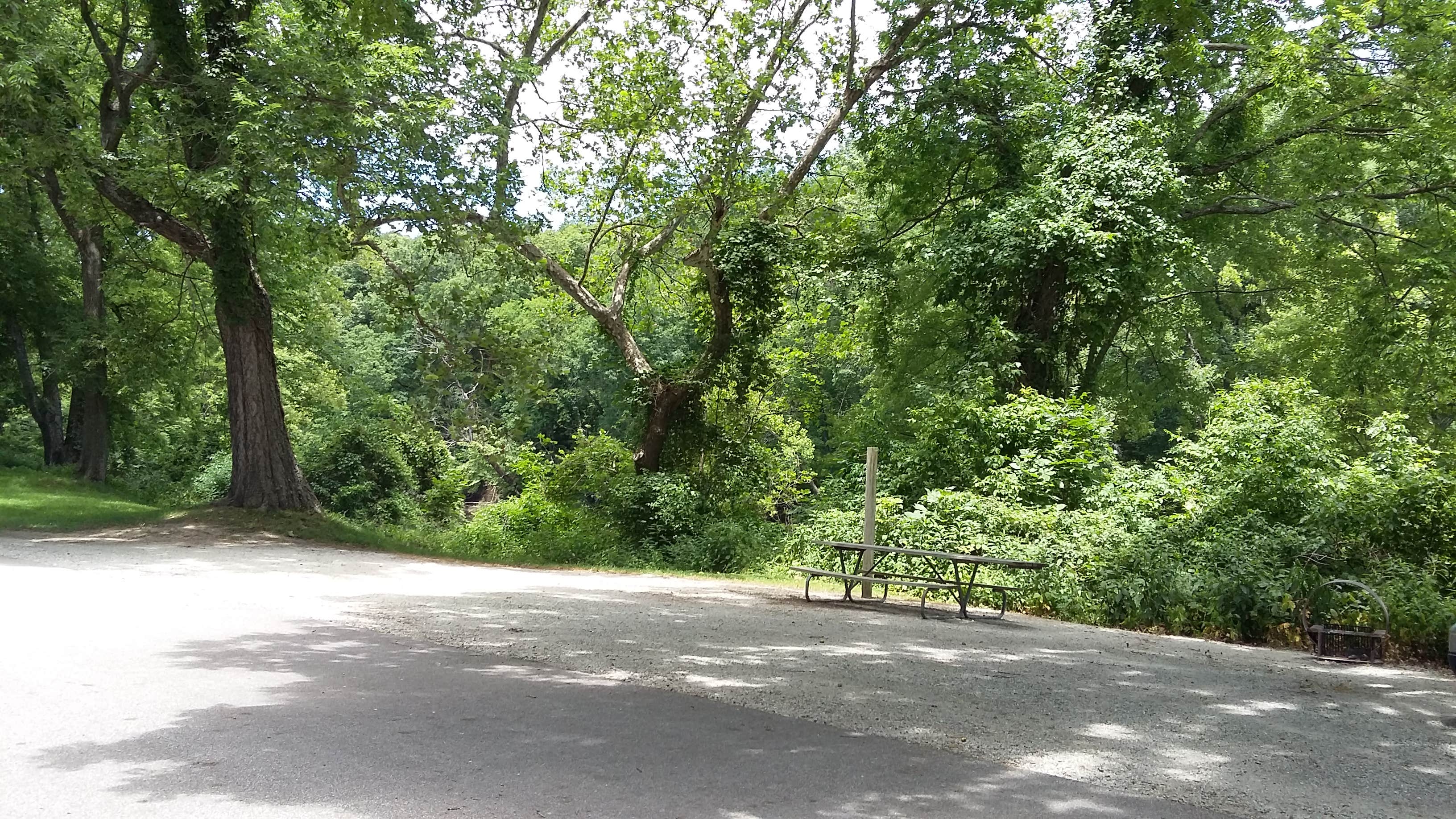 Camper submitted image from Pittsburg Area Campground — Pomme de Terre State Park - 2