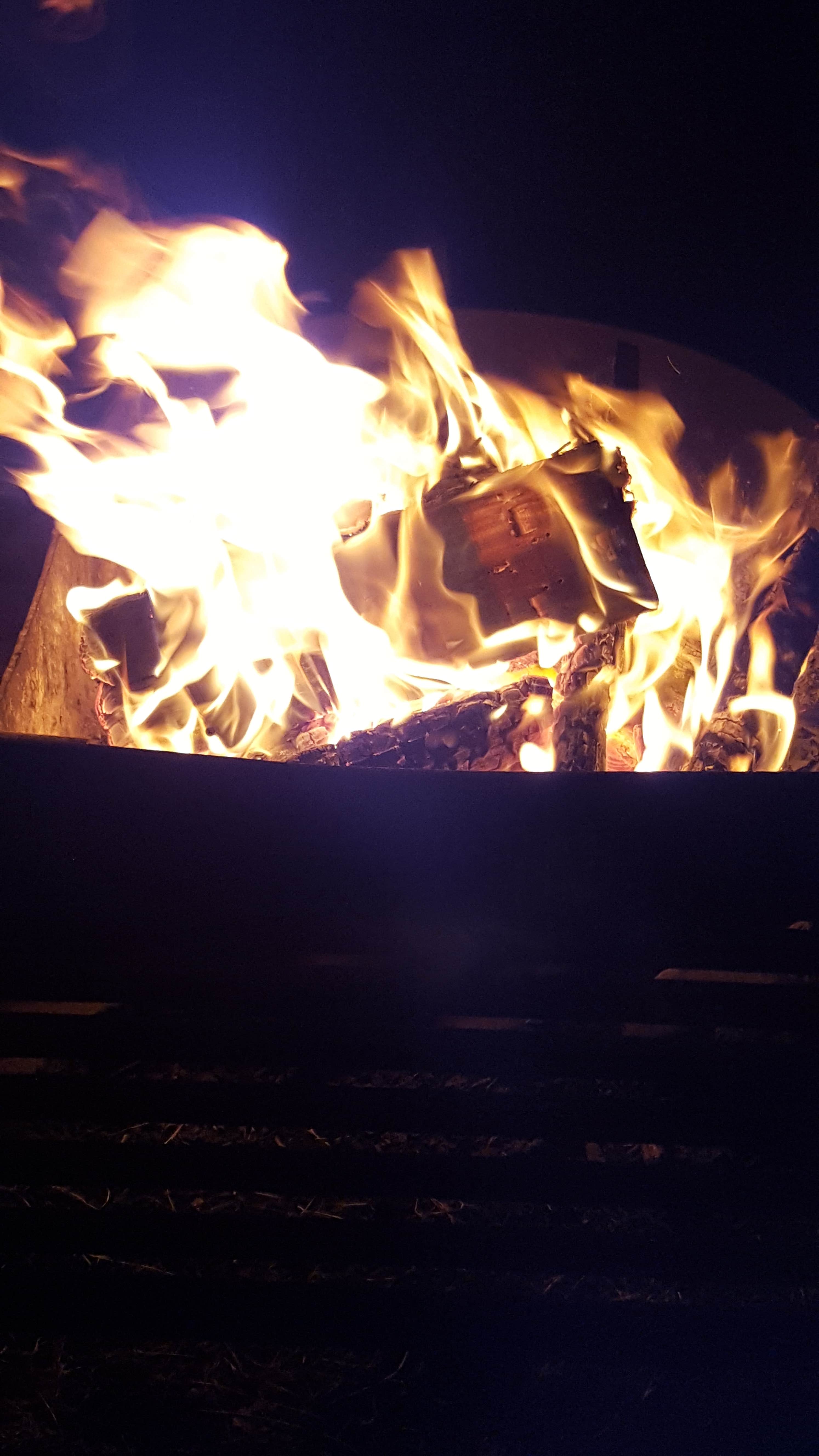 Camper submitted image from Eel Creek Campground - 2