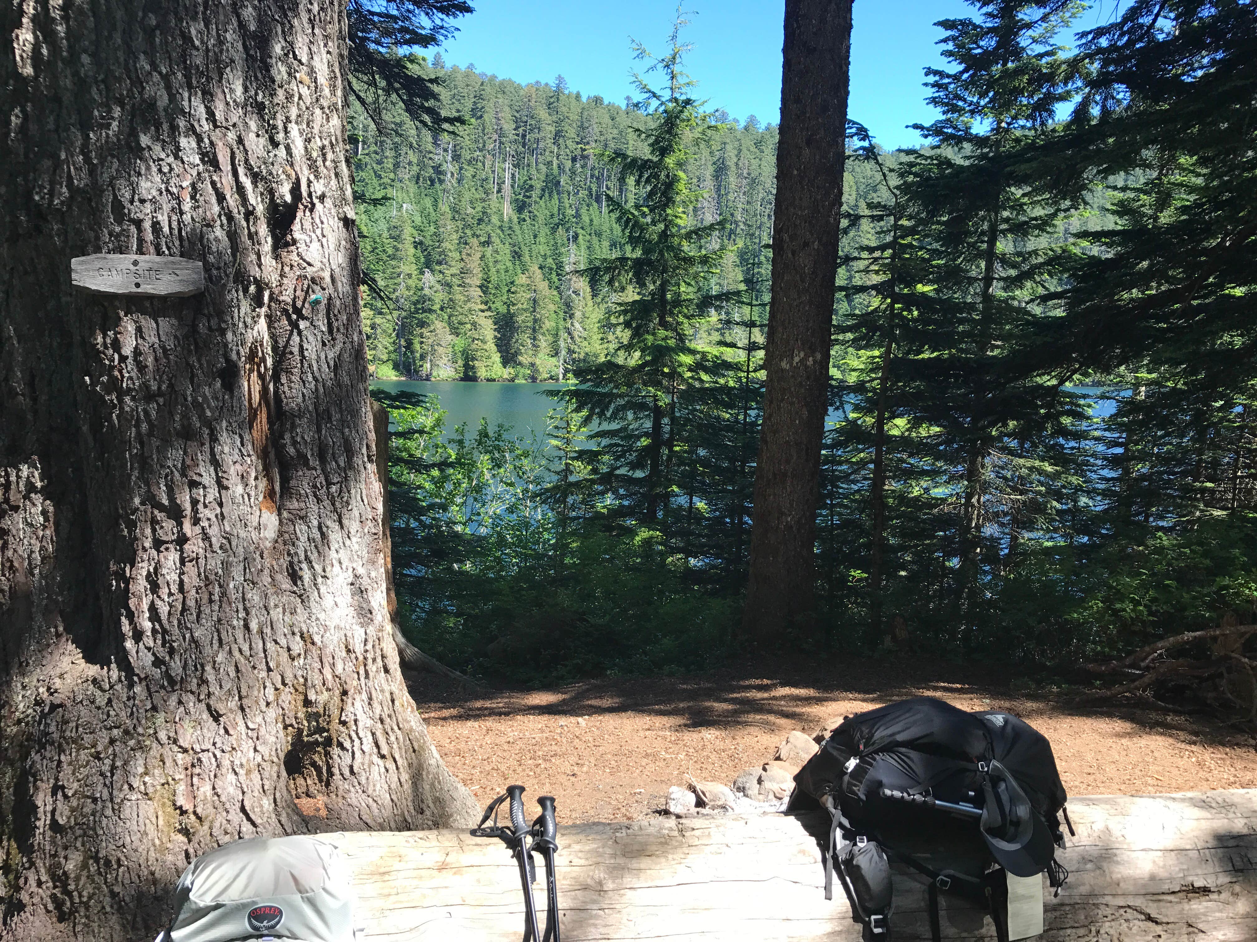 Camper submitted image from Wahtum Lake Campground - 2