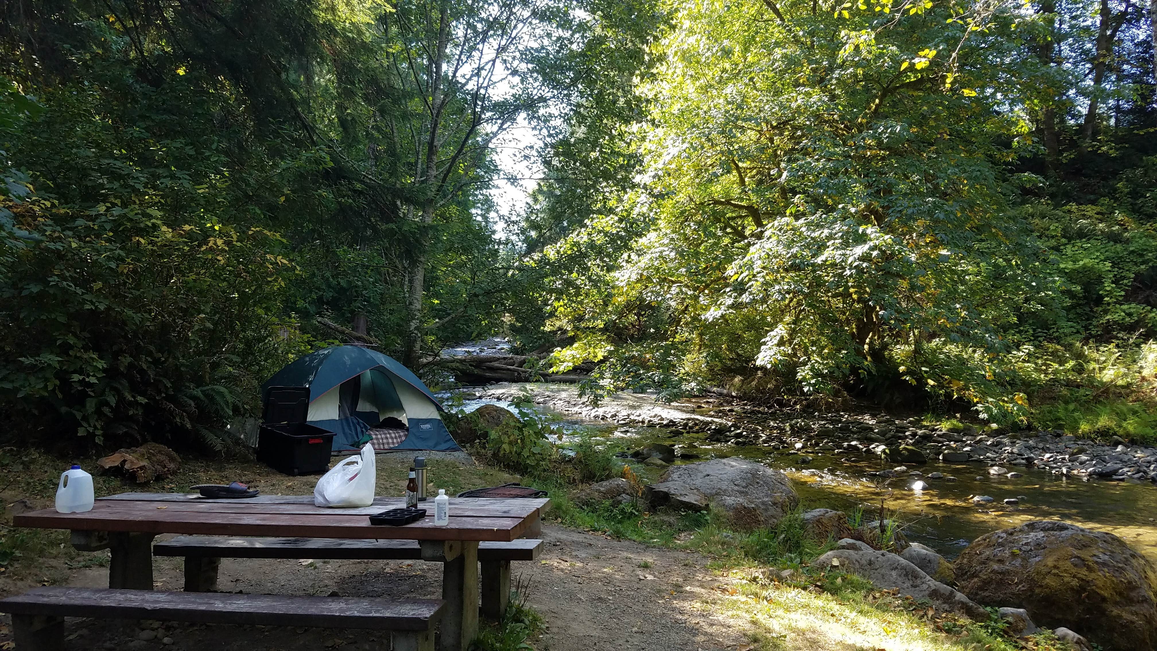 Brant T.'s photo at Lyre River- State Forest near Joyce, WA