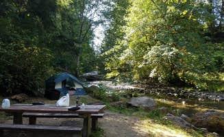 Brant T.'s photo at Lyre River- State Forest near Joyce, WA