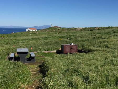 Camper submitted image from Anacapa Island Campground — Channel Islands National Park - 4