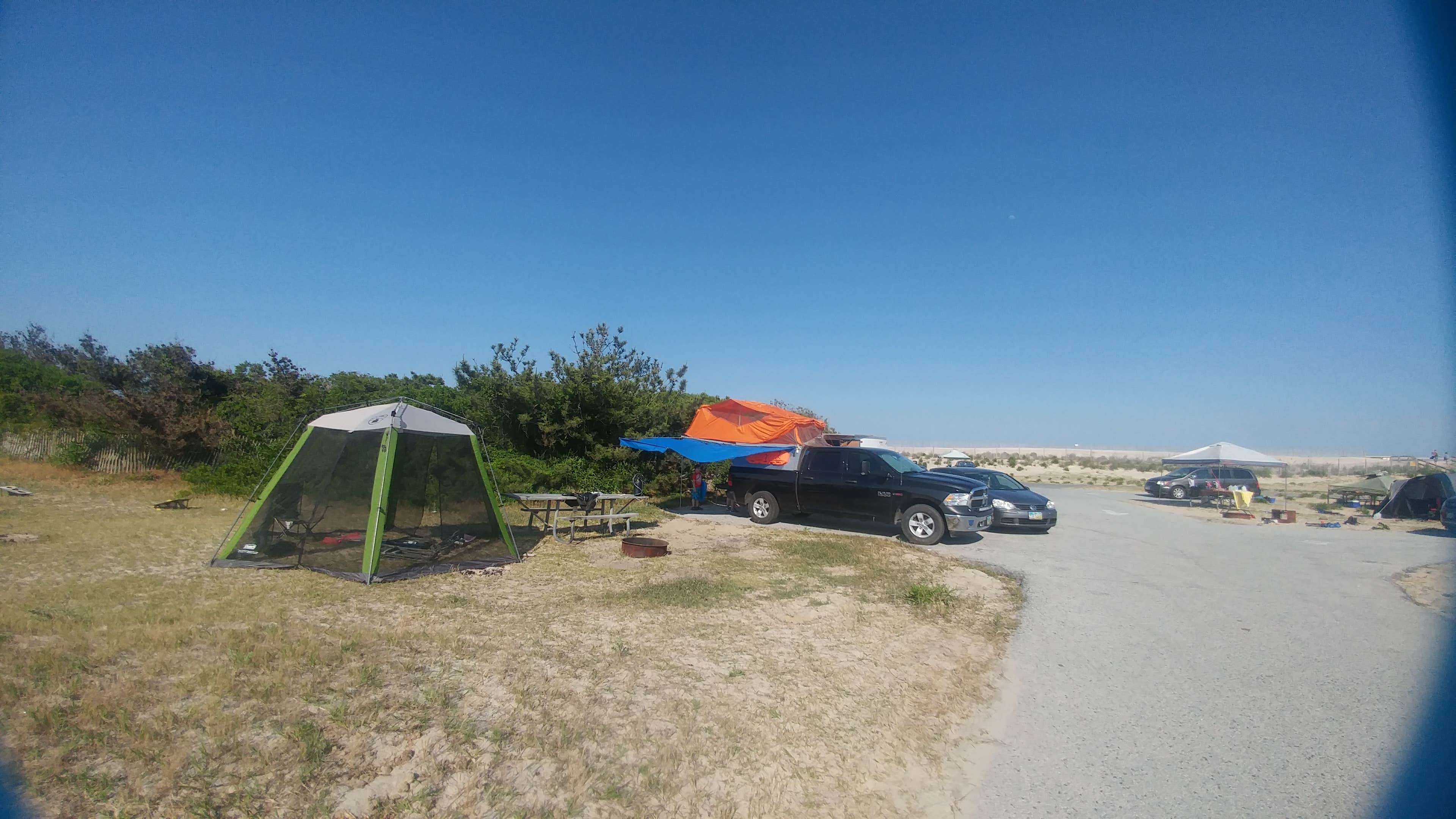 Camper submitted image from Assateague State Park Campground - 4