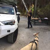 Review photo of Fort De Soto Campground by Ashleigh C., July 4, 2017