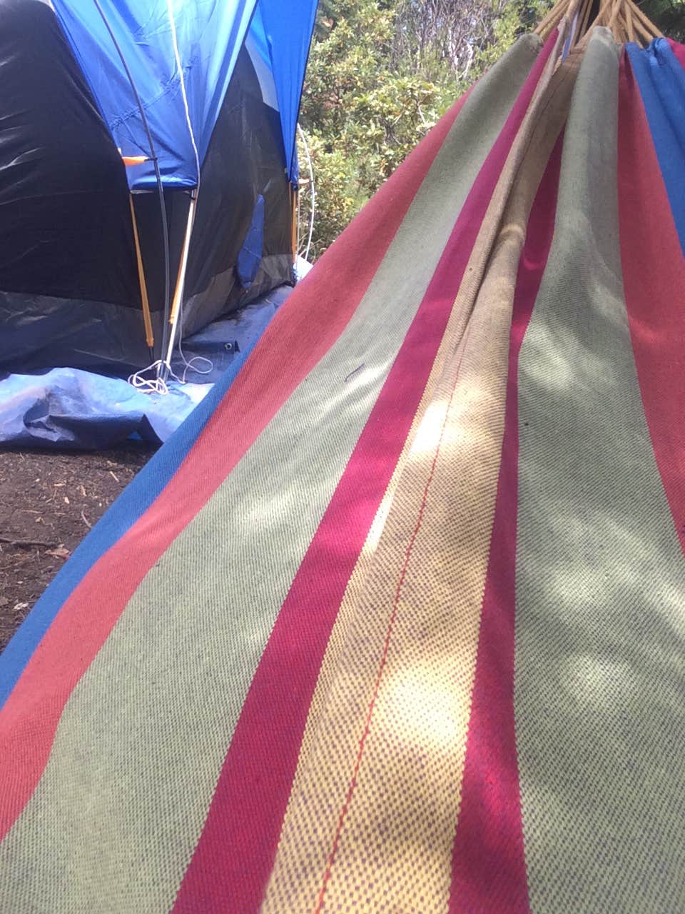 Camper submitted image from South Shore Suttle Lake - 2