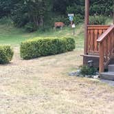 Review photo of AtRivers Edge RV Resort by Tosha N., July 4, 2017