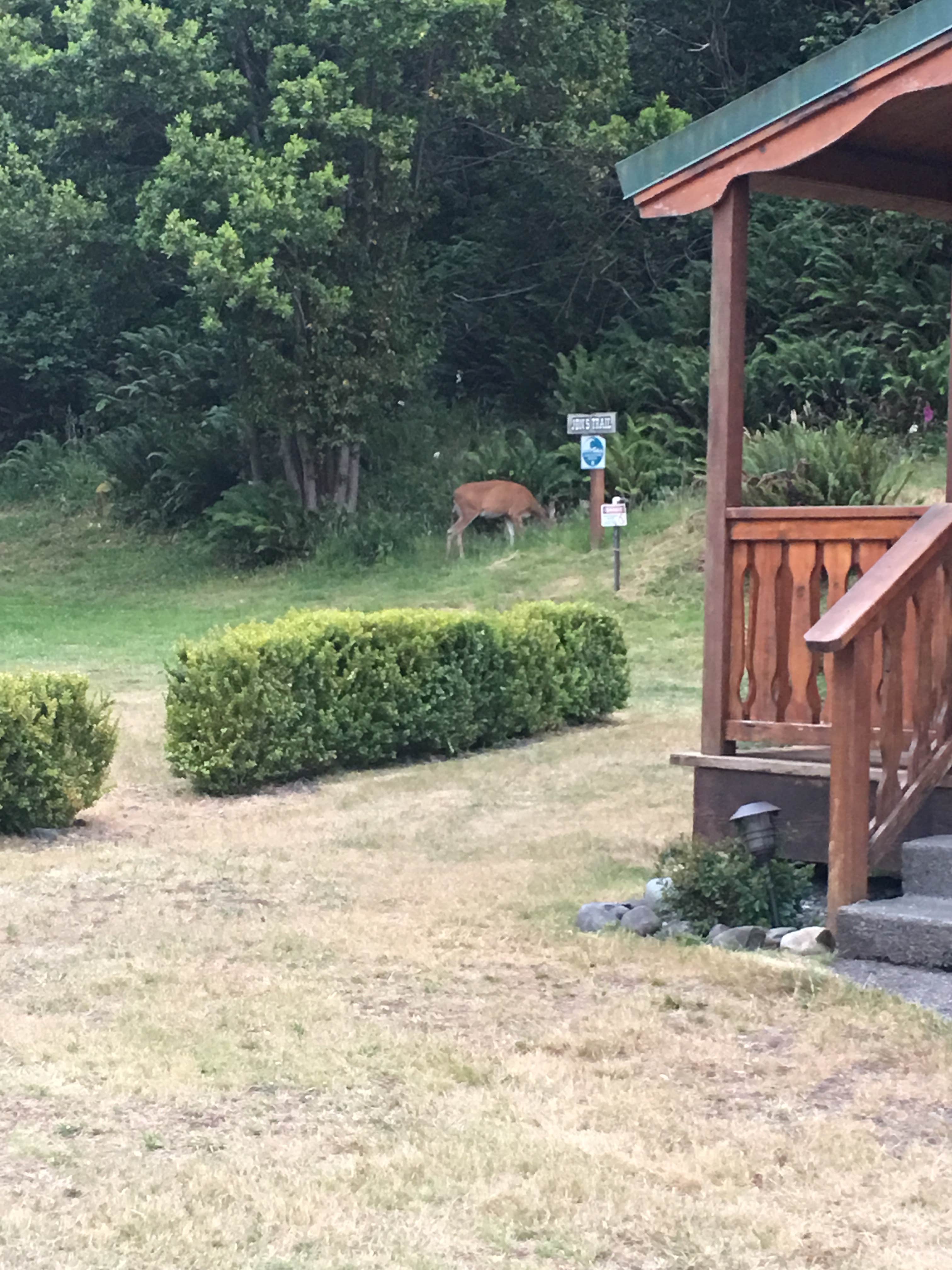 Camper submitted image from AtRivers Edge RV Resort - 5