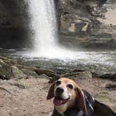 Review photo of Red Fox Campground — Minneopa State Park by Amelia B., July 4, 2017