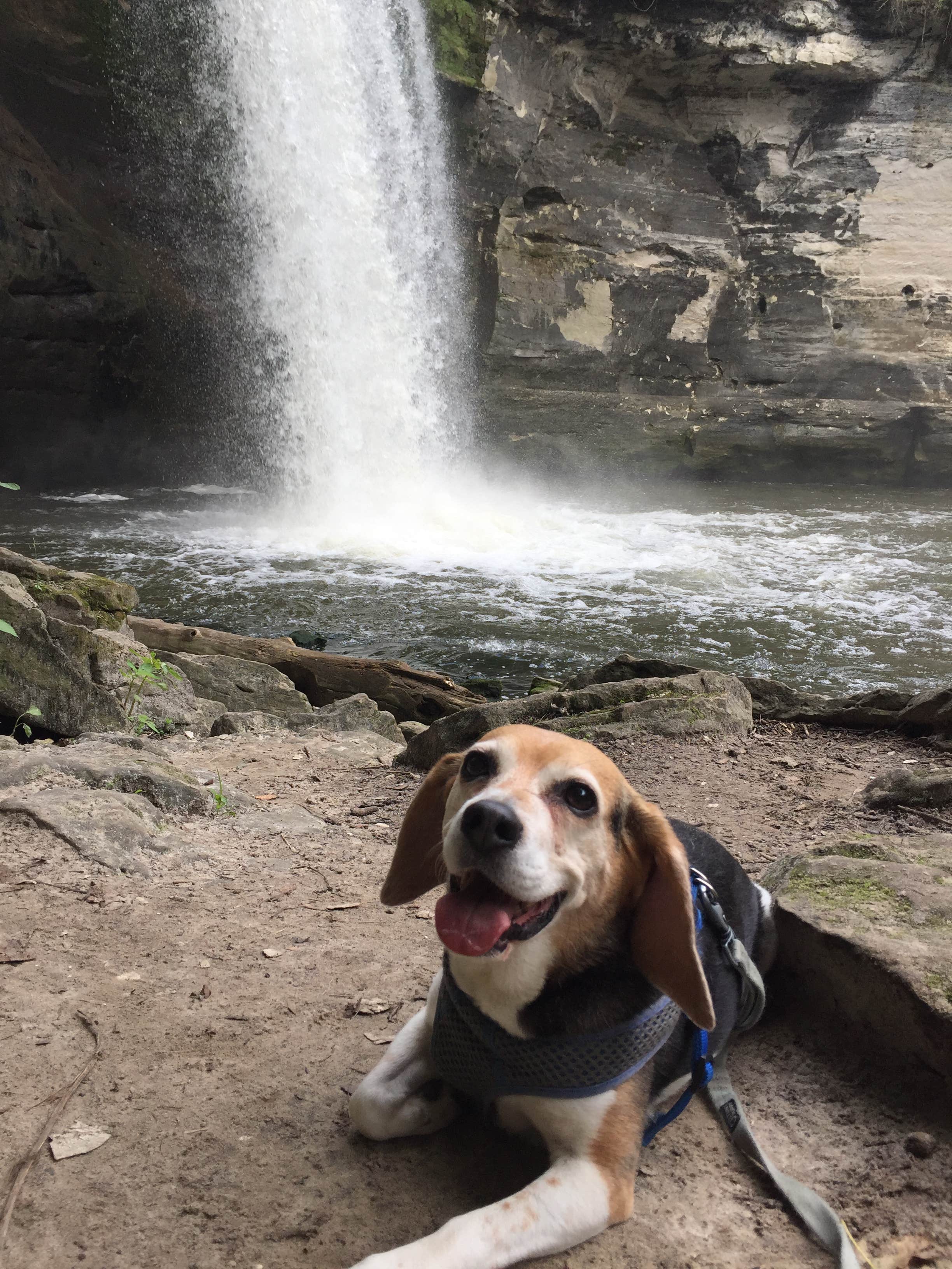 Camper submitted image from Red Fox Campground — Minneopa State Park - 3