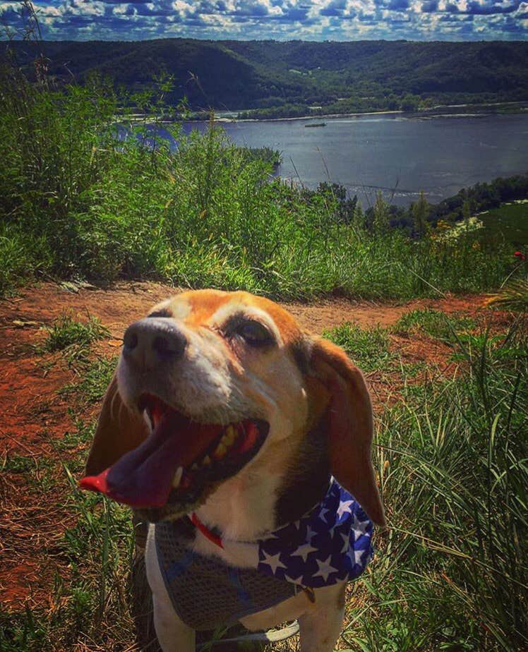 Amelia B.'s photo of camping with pets at Perrot State Park Campground near La Crosse, WI