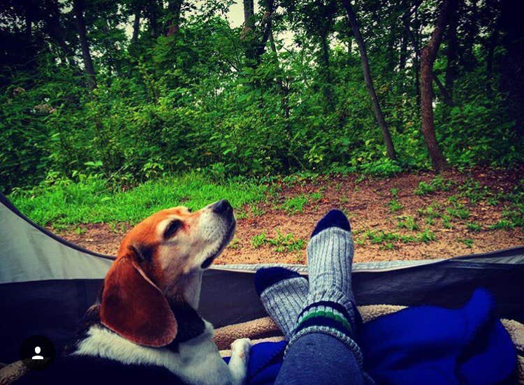 Amelia B.'s photo of camping with pets at Perrot State Park Campground near Fountain City, WI