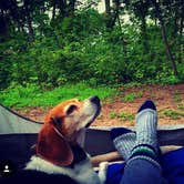 Review photo of Perrot State Park Campground by Amelia B., July 4, 2017