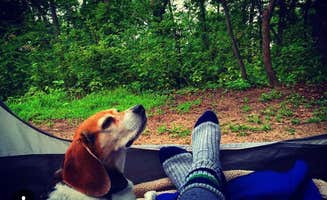 Amelia B.'s photo of camping with pets at Perrot State Park Campground near Homer, MN