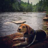 Review photo of Banning State Park Campground by Amelia B., July 4, 2017