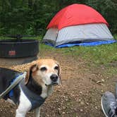 Review photo of Red Fox Campground — Minneopa State Park by Amelia B., July 4, 2017