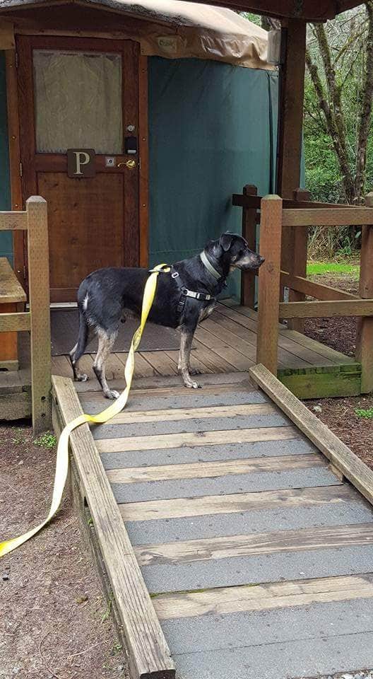 Camper-submitted photo at William M. Tugman State Park Campground near Gardiner, OR