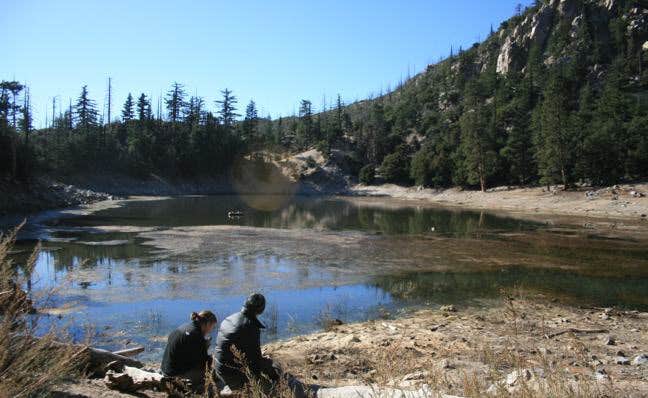 Camper submitted image from Crystal Lake Rec Area Campground - 4