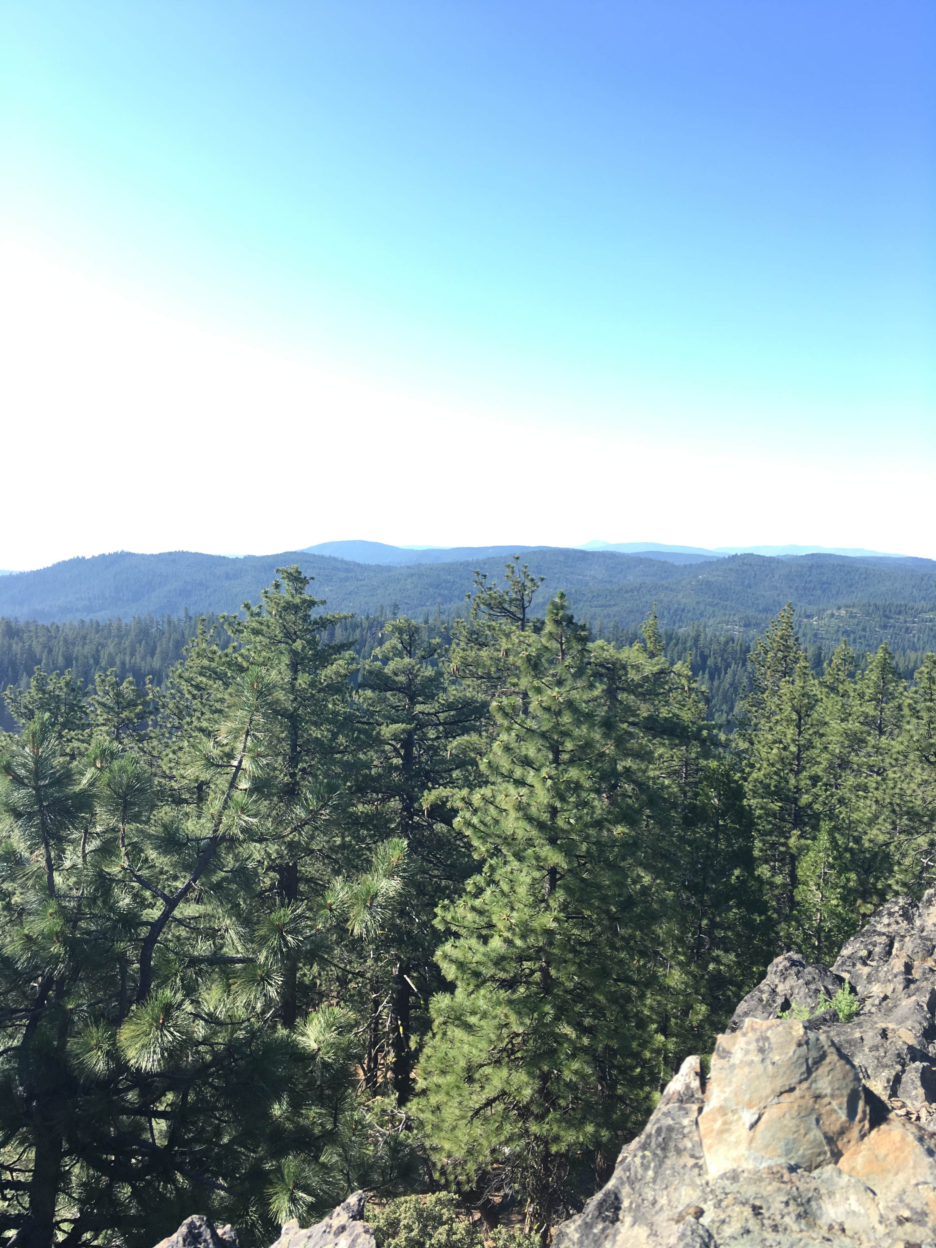 Camper submitted image from Plaskett Meadows Campground - 1