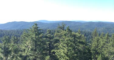 Mendocino/Plaskett Meadows