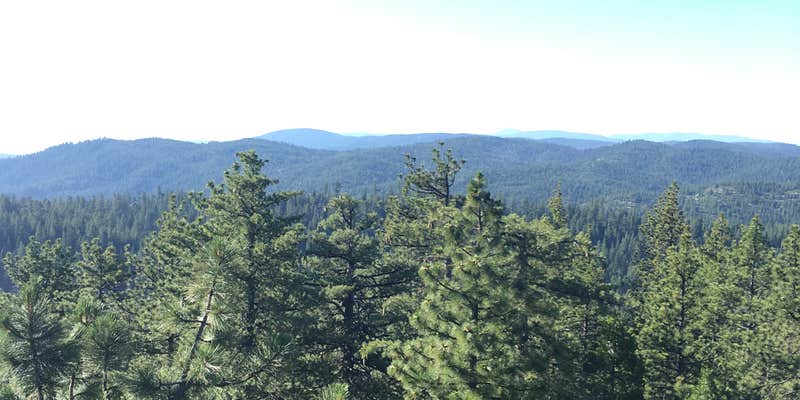 Camper submitted image from Plaskett Meadows Campground