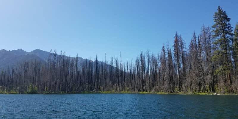 Camper submitted image from Refrigerator Harbor Campground