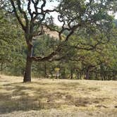 Review photo of Whistlers Bend County Park by Brant T., July 5, 2017