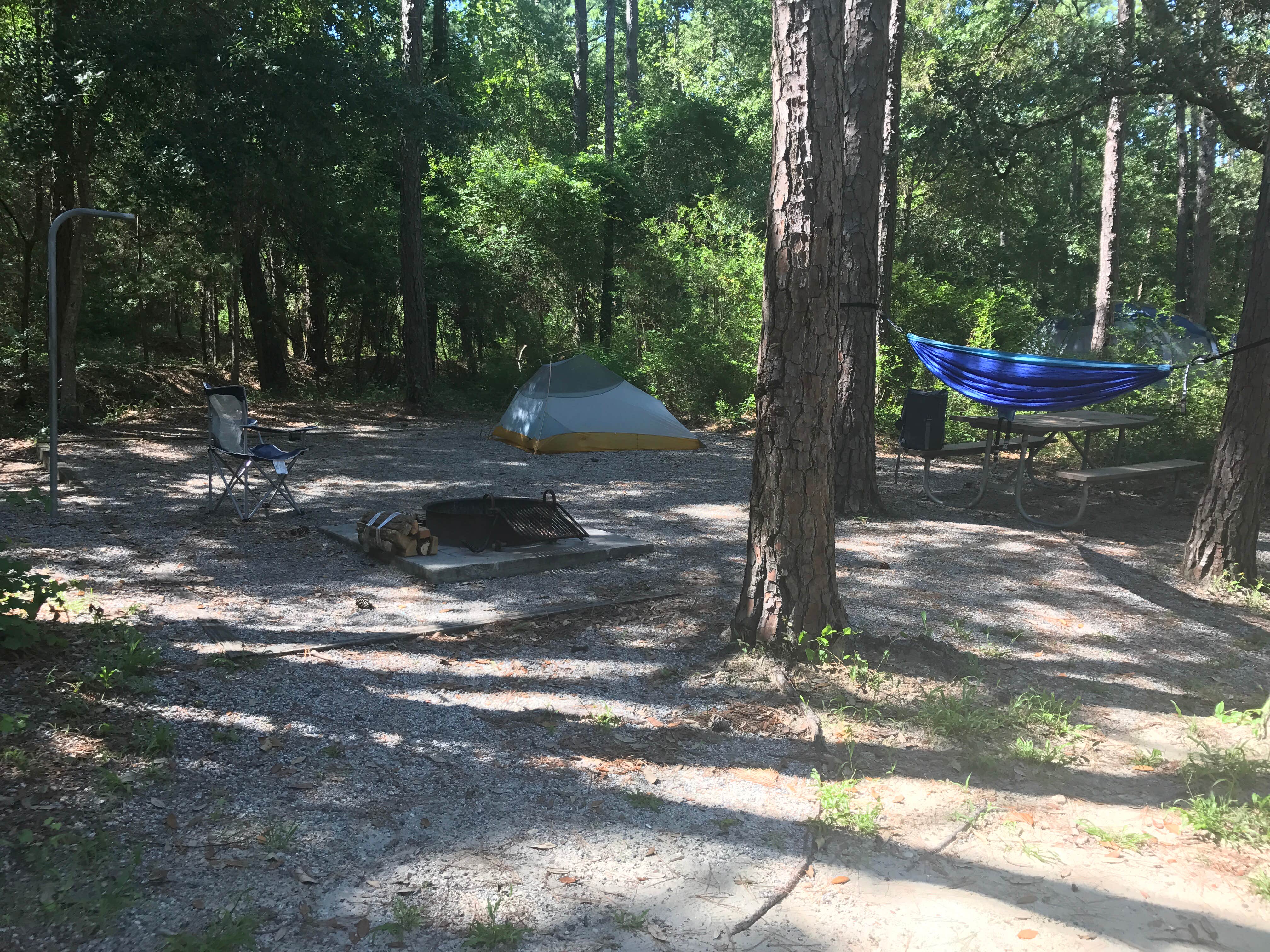 Frankie M.'s photo at Carolina Beach State Park Campground near Wilmington, NC