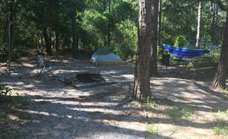 Frankie M.'s photo at Carolina Beach State Park Campground near Oak Island, NC