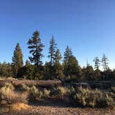 Review photo of Angeles National Forest Meadow Group Campground by Kuo G., July 5, 2017