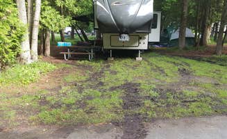 Stephanie C.'s photo at Harrisville State Park Campground near Hubbard Lake, MI