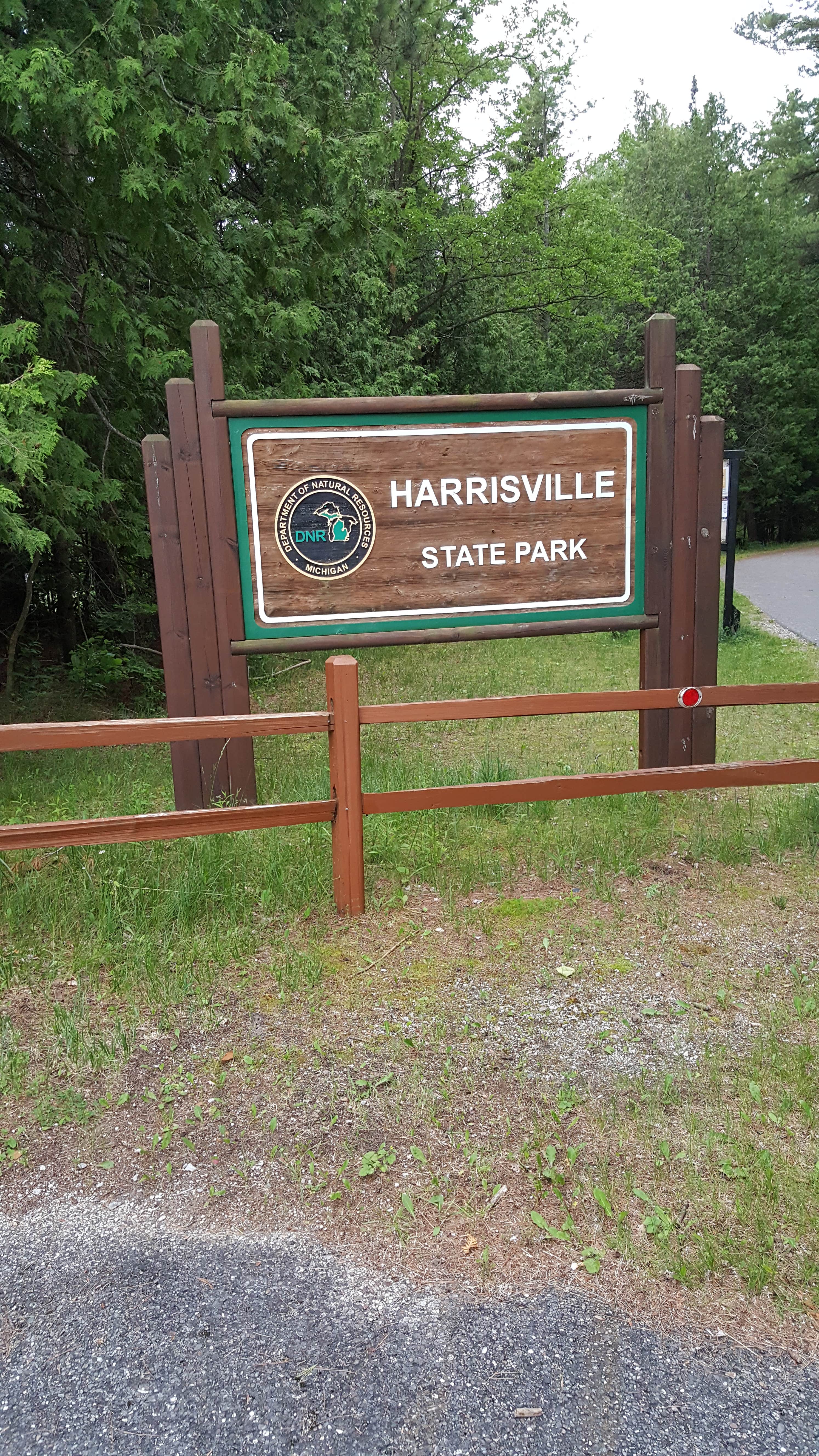 Camper submitted image from Harrisville State Park Campground - 3