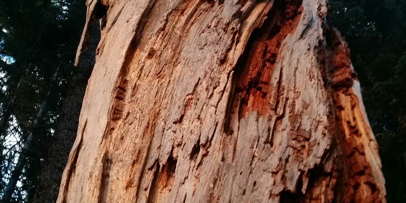 Camper submitted image from Sunset Campground at Lake of the Woods