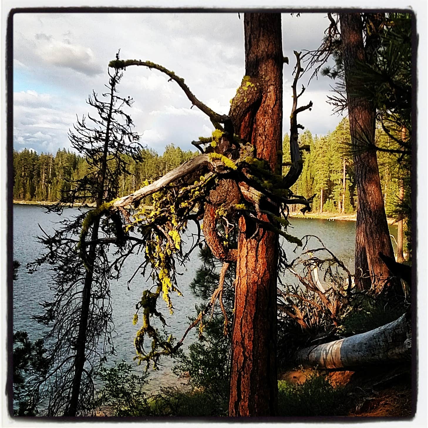 Camper submitted image from South Twin Lake Campground - 3