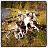 Review photo of South Twin Lake Campground by Joey D., July 5, 2017