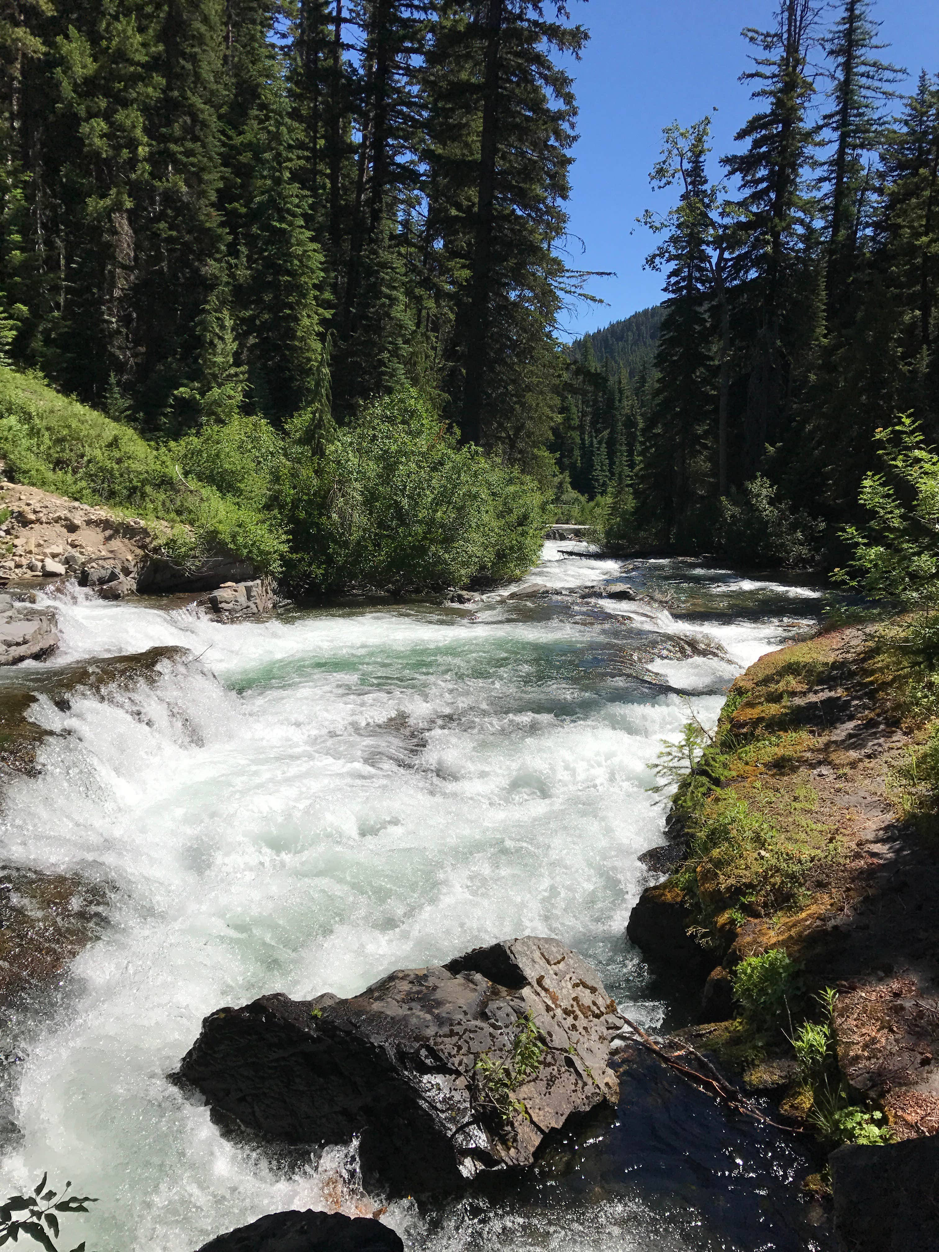 Camper submitted image from Lodgepole Campground (washington) - 5